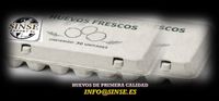 Huevos Sinse Export